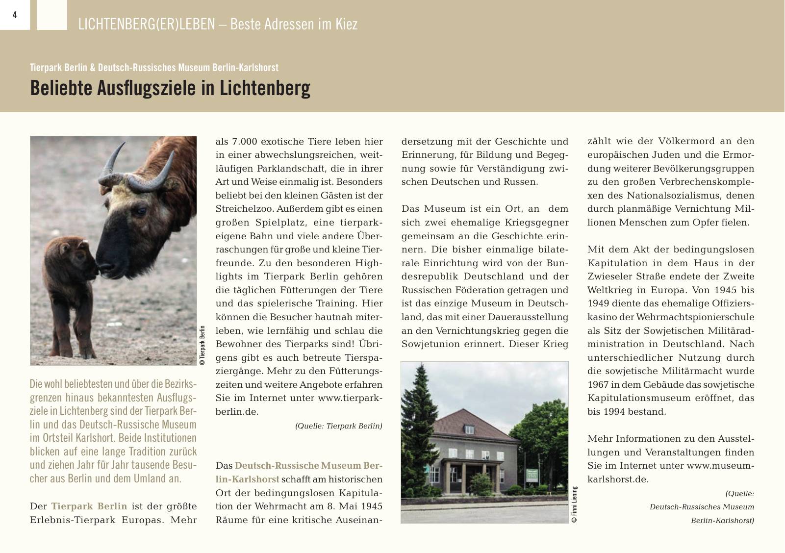 Vorschau LICHTENBERG(ER)LEBEN Seite 4